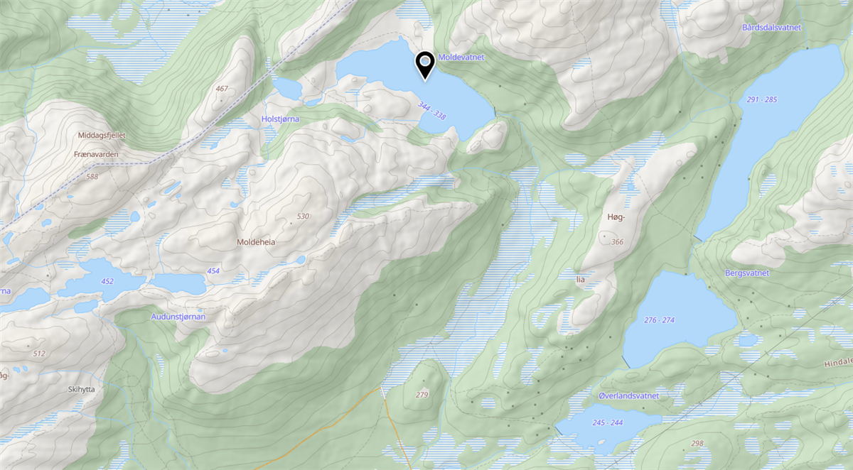 Kart fra Moldemarka med pin på Moldevatnet. - Klikk for stort bilde