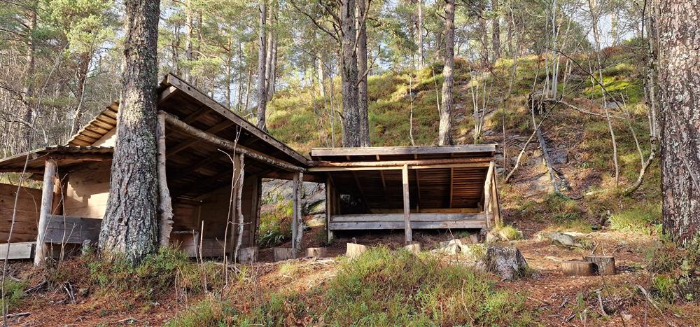 Gapahuk. foto - Klikk for stort bilde