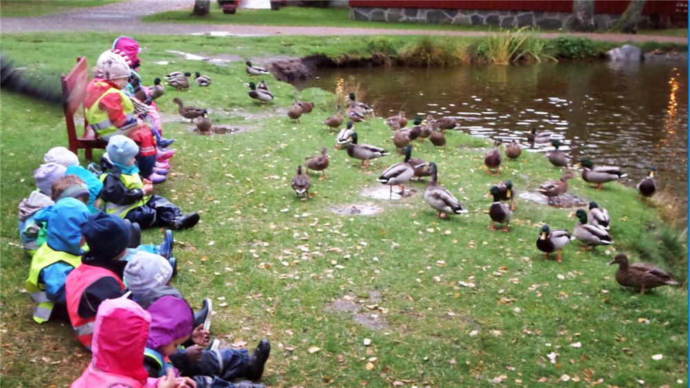 Barnas hus molde () Barnas hus molde