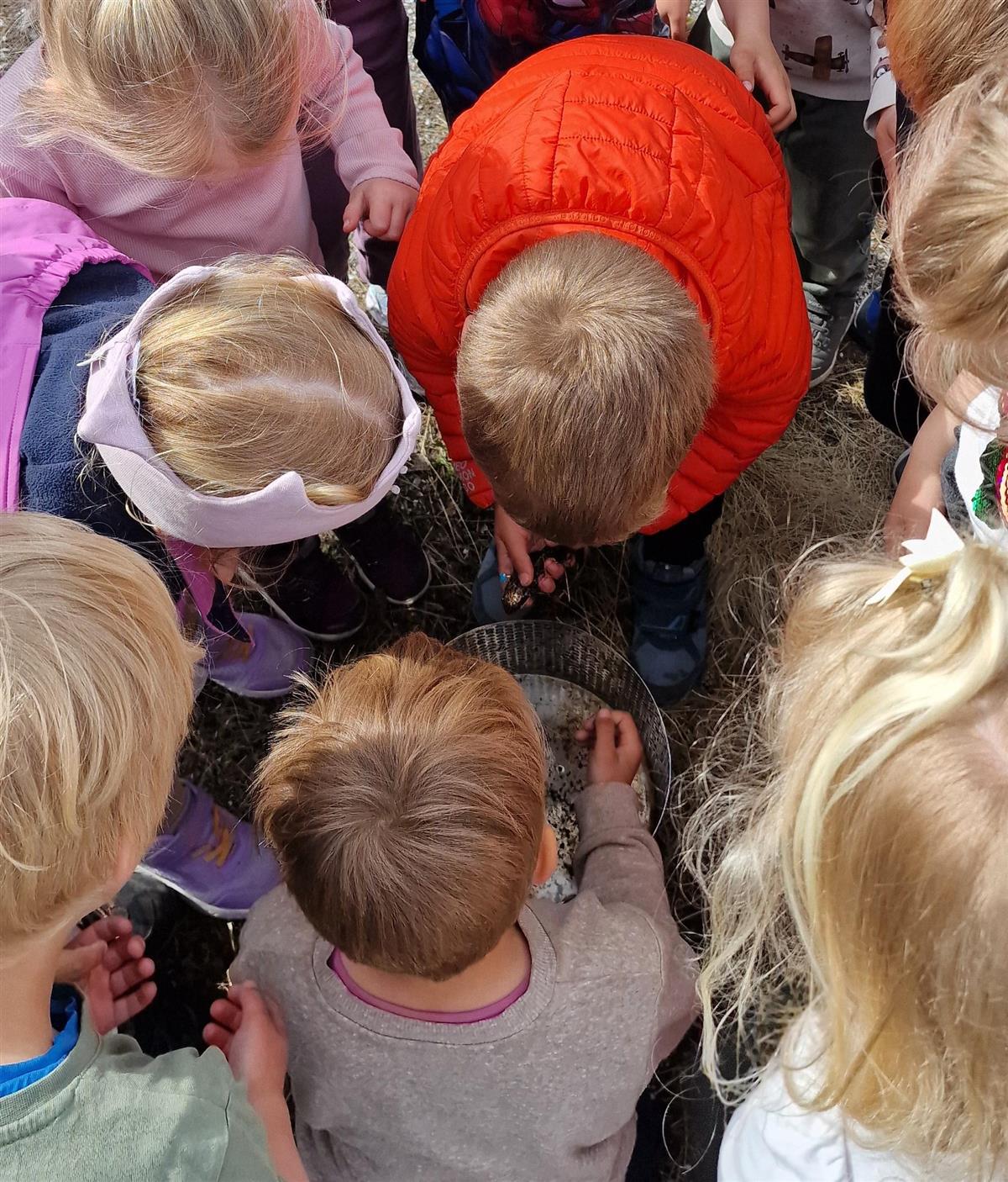 Ei gruppe barn sitter i ring, sett ovenfra. foto - Klikk for stort bilde