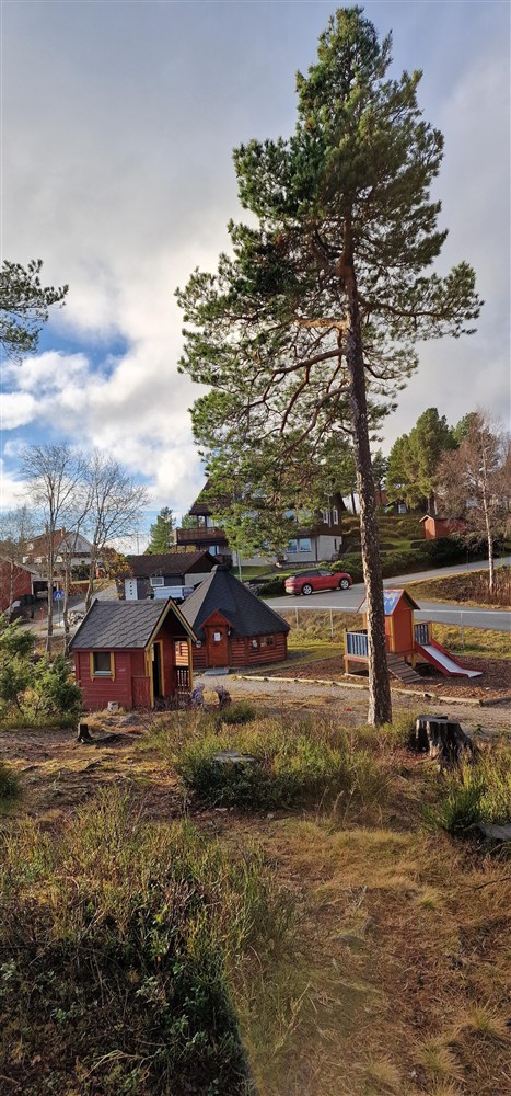 Uteområdet på storbarn - Klikk for stort bilde