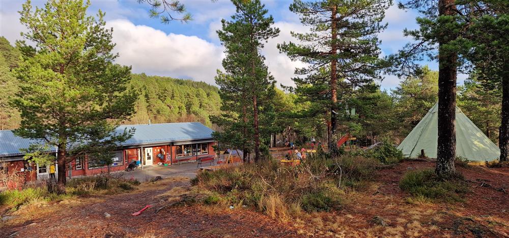 Uteområde i barnehage. Friareal og rtrær. - Klikk for stort bilde