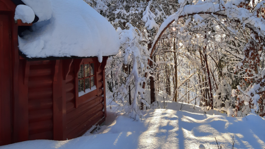 Barnas hus molde () Barnas hus molde