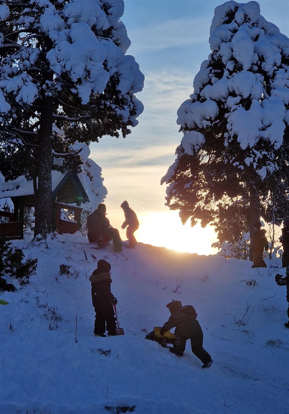 Barn leker i snøkledt bakke. Foto - Klikk for stort bilde